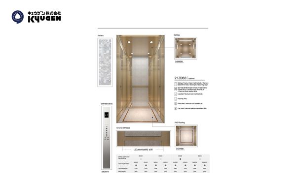 21Z063-Home-Elevator