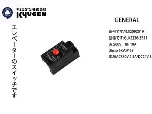YL5209Z019-GENERAL Limit Switch