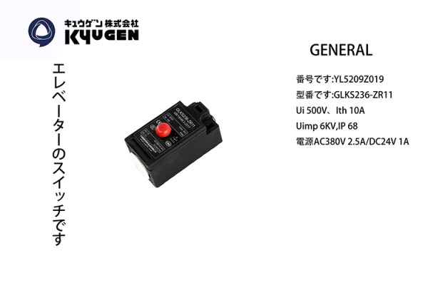 YL5209Z019-GENERAL Limit Switch