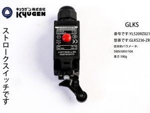YL5209Z021-GLKS Limit Switch