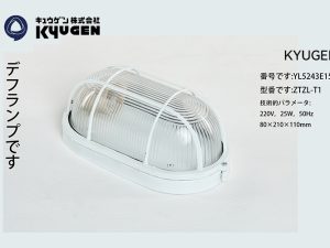 YL5243E150-KYUGEN Elevator Lamp