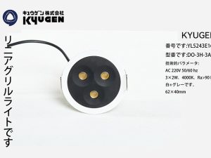 YL5243E169-KYUGEN Elevator Lamp