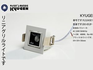 YL5243E170-KYUGEN Elevator Lamp