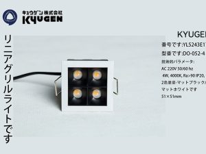 YL5243E173-KYUGEN Elevator Lamp