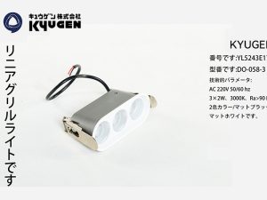 YL5243E174-KYUGEN Elevator Lamp
